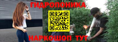 шишки Славгород