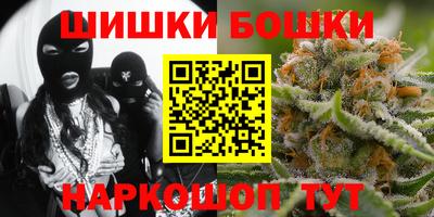 шишки Славгород